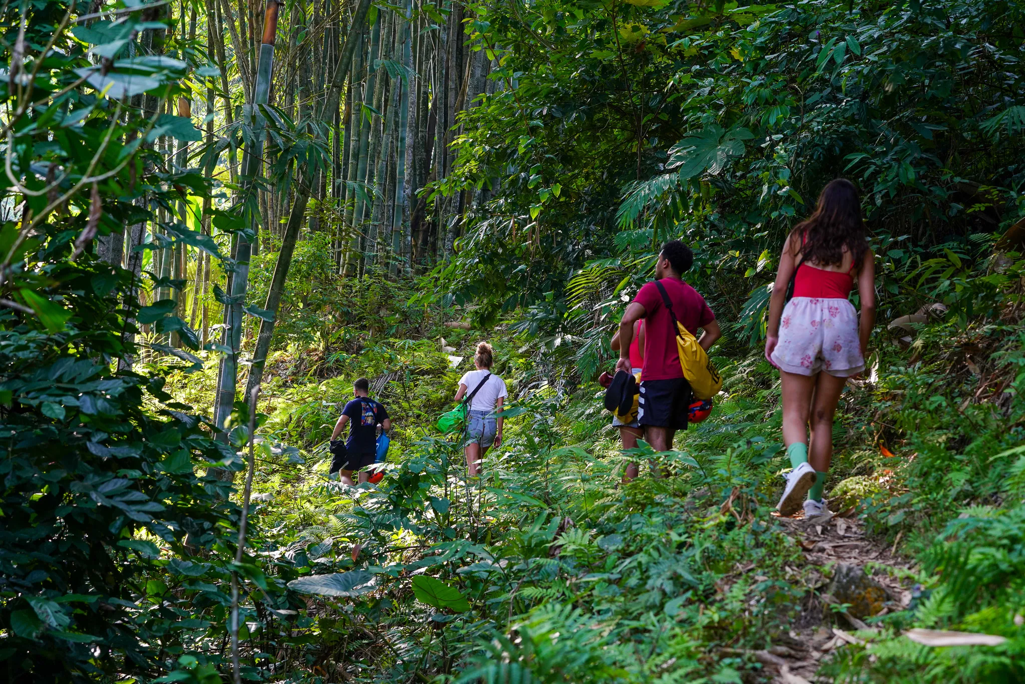 3D2N Tour | Explore Ban Gioc Waterfall and Ba Be Lake | Bac Kan